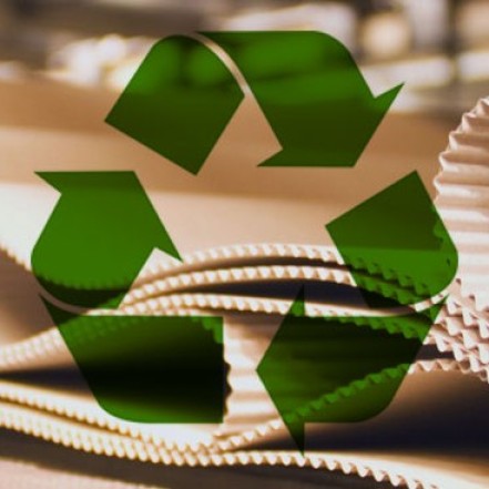 Karton Koli Üretimi