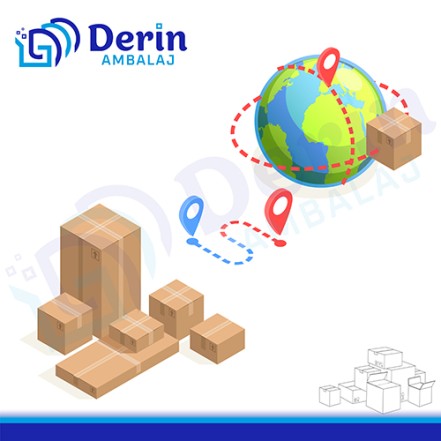 Koli Dünyasının Derinliklerine Yolculuk: Ambalajın Ötesindeki Hikaye