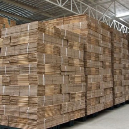 Beylikdüzü Koli Fabrikası